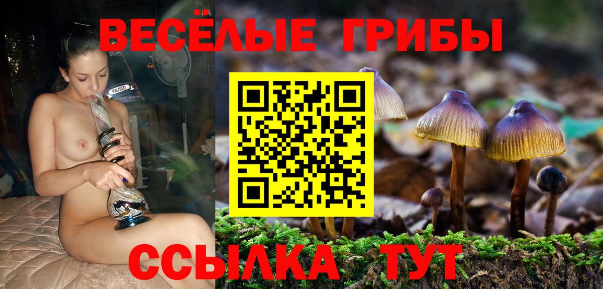 Галлюциногенные грибы GOLDEN TEACHER Сокол